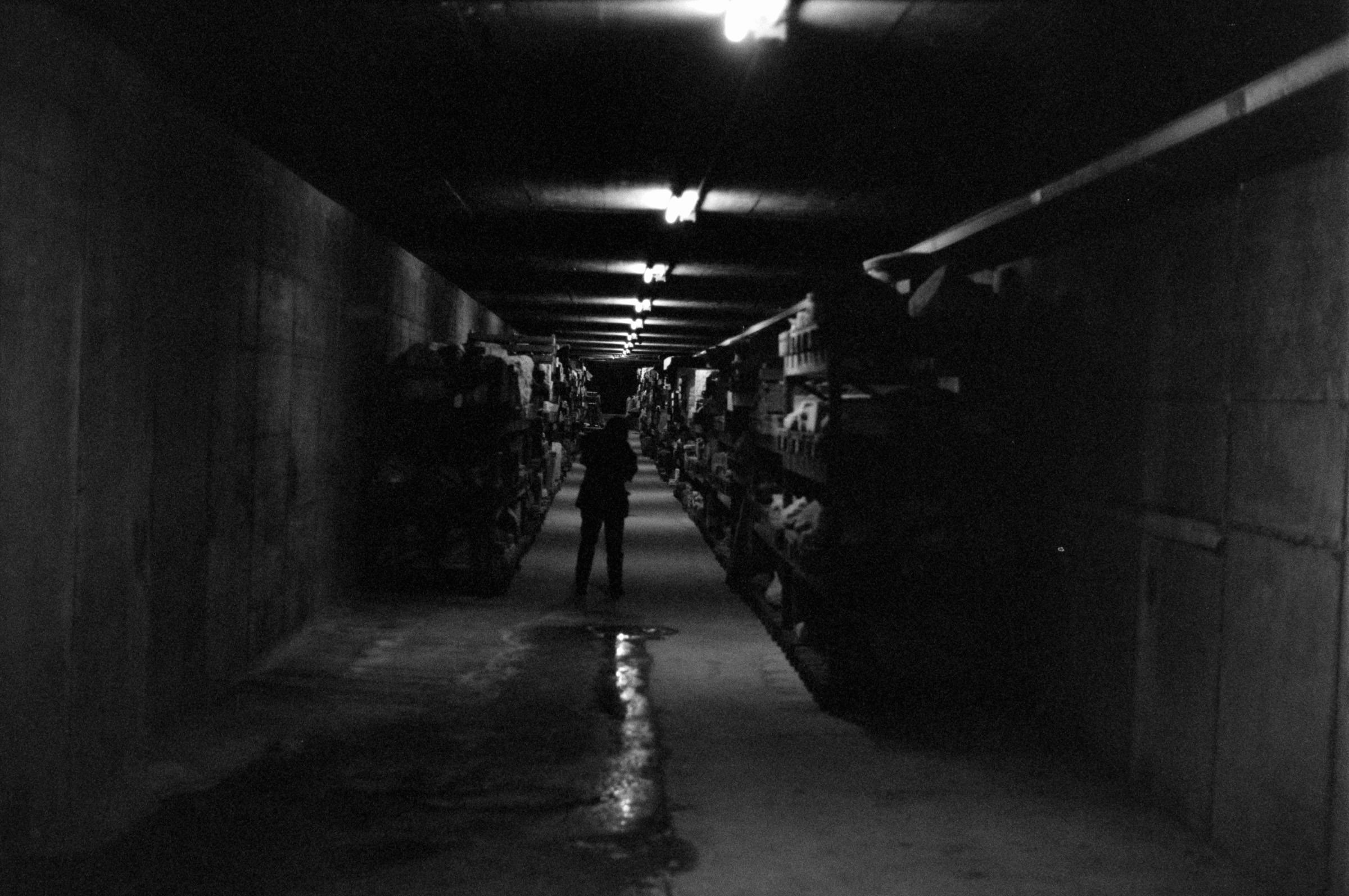 AHP F1994 11 008 sc250521 img28 NLP